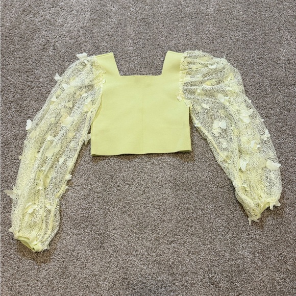 Free People Tops - Free People Flutter By Longsleeve Mesh Crop Top XS